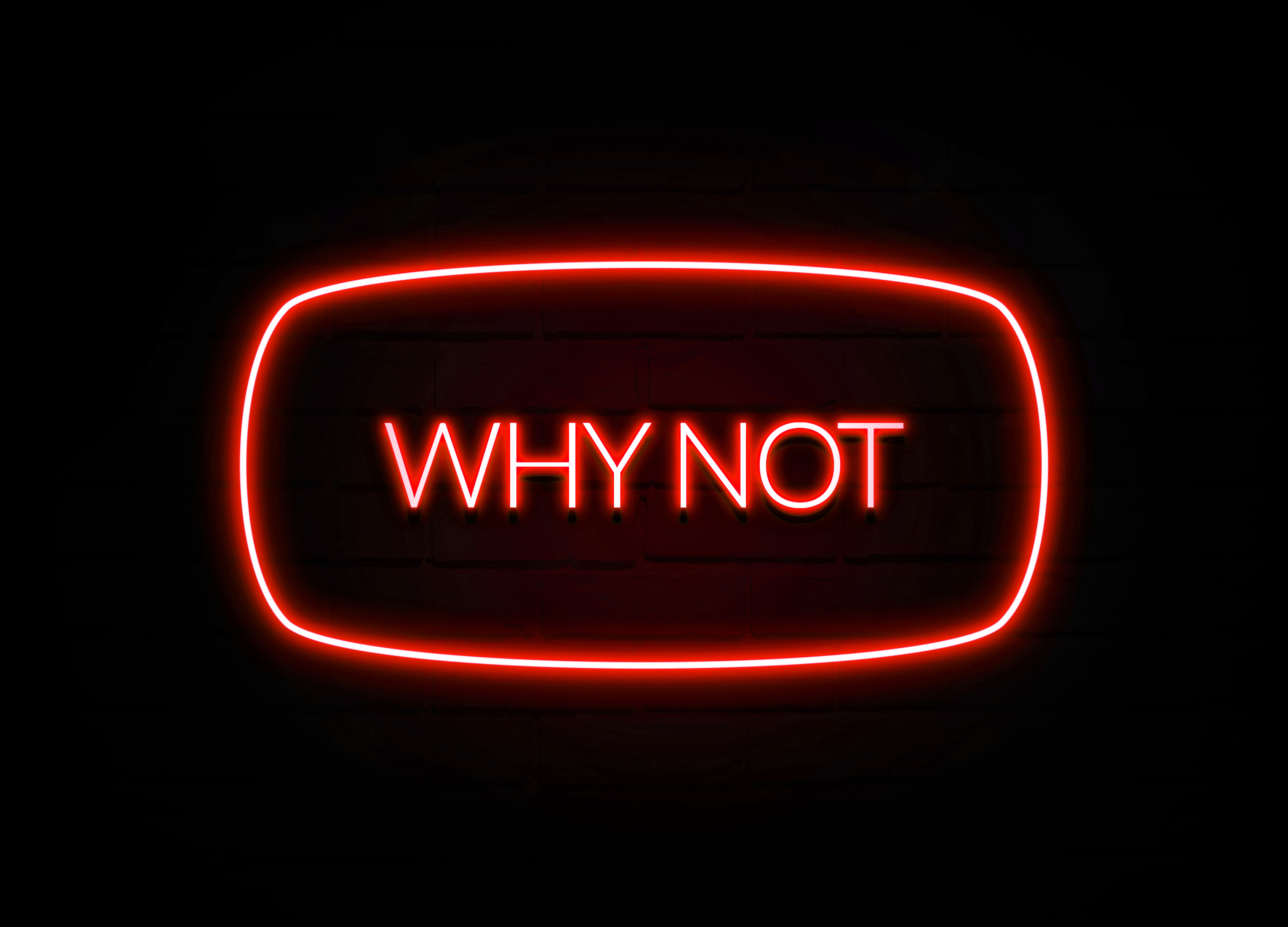 Картинки why not